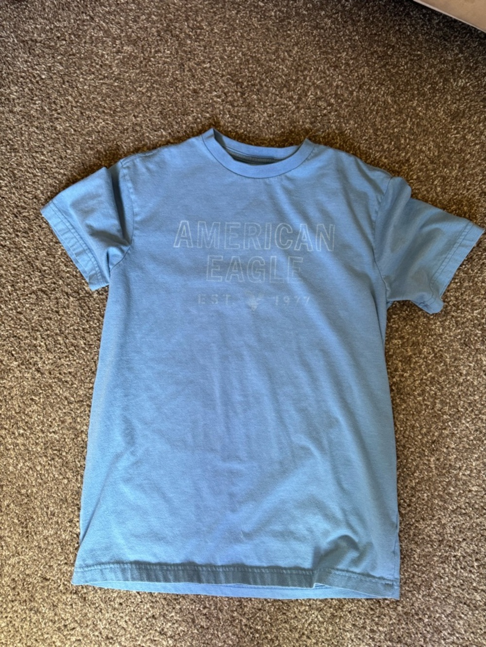 American Eagle Outfitters Light Blue Short Sleeve Logo Tee